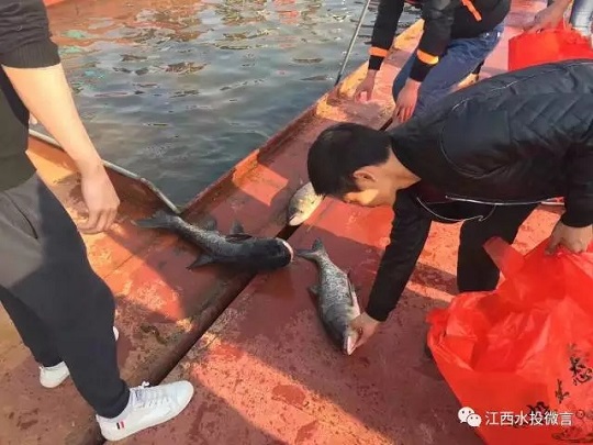 巾幗心向黨 揚帆新征程 江西水投集團舉辦“三八”國際婦女節(jié)紀(jì)念活動