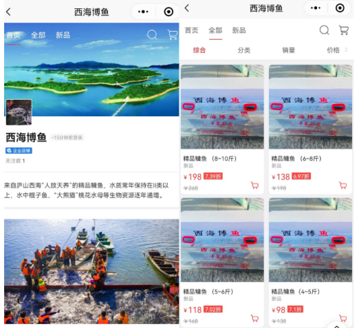 “西海博魚”微店商城正式上線