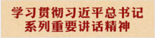 學(xué)習(xí)貫徹習(xí)近平總書記系列重要講話精神